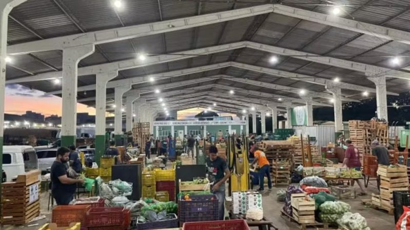 Com custo de R$ 5, Ceasa-MS abre mercado para pequenos produtores; veja passo a passo de como vender