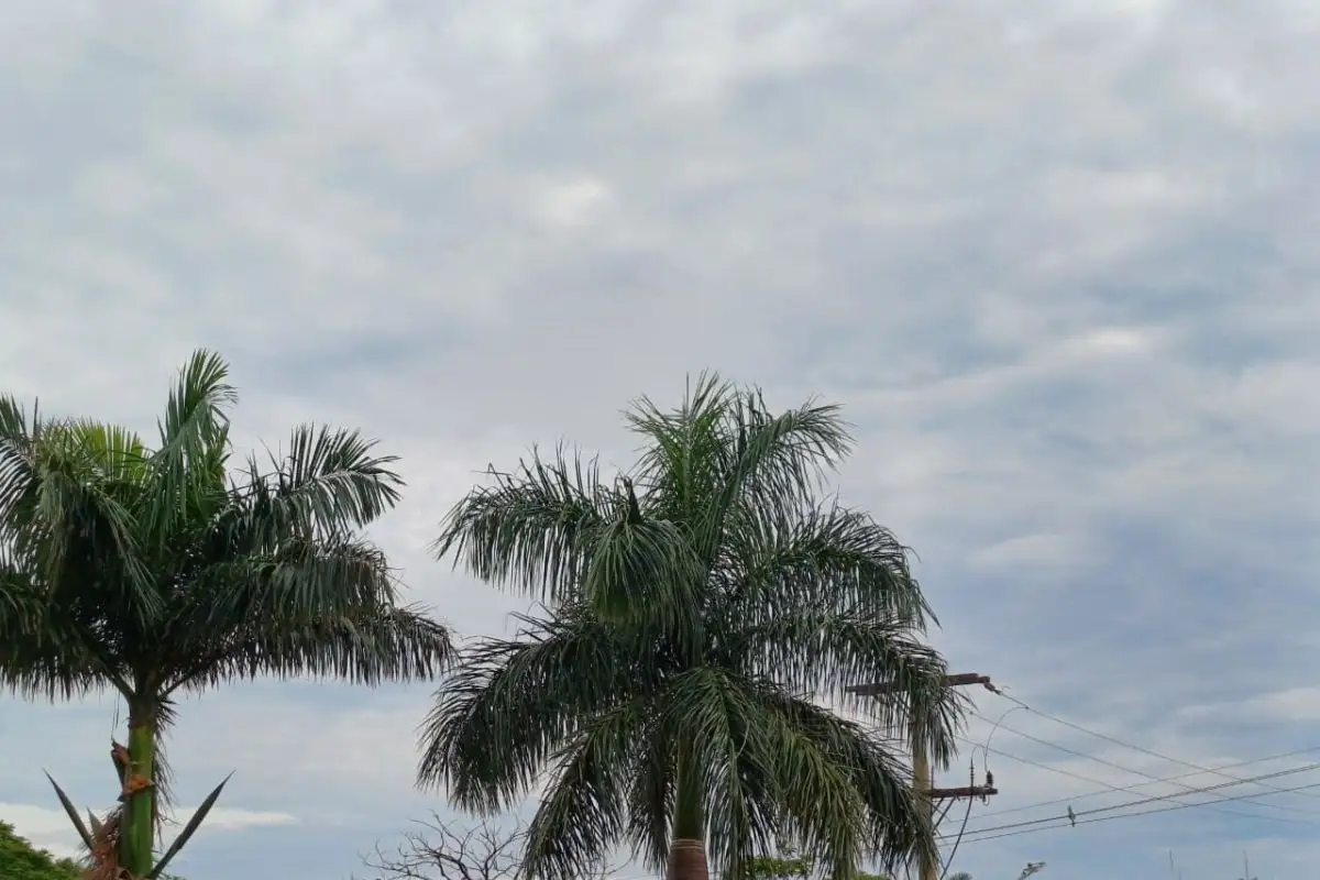 Domingo de calor intenso e risco de temporais com granizo em MS