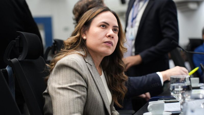 Ana Portela votou contra a Moção de Cidadão Ilustre a Lula e defende critérios éticos para as honrarias.