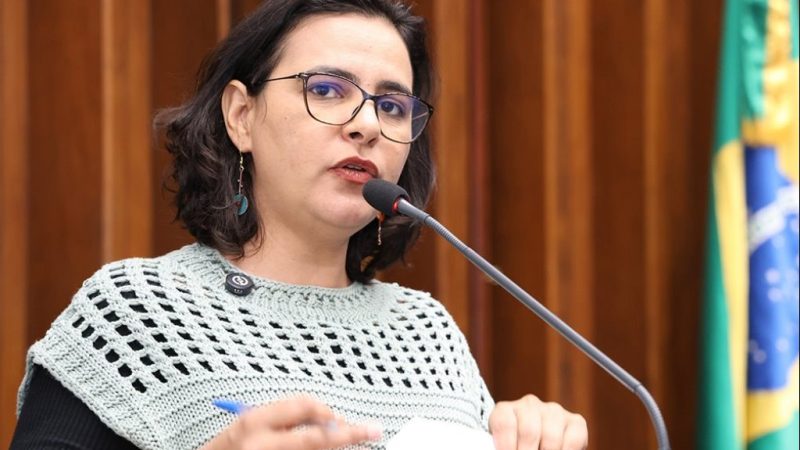 Gleice Jane destaca articulação da bancada do PT para recursos de combate à chikungunya em Dourados