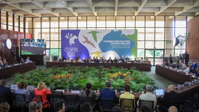 Senador Nelsinho Trad destaca impacto econômico e ambiental na abertura da COP15, em Campo Grande