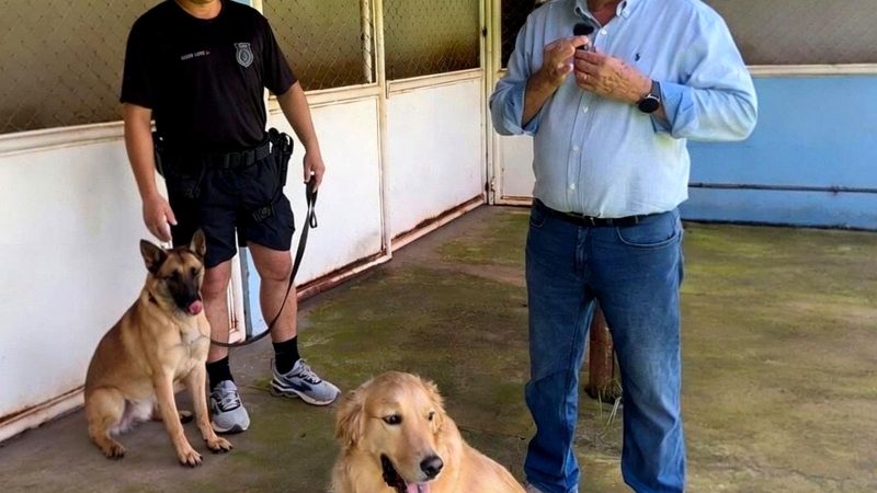 Vereador Veterinário Francisco realiza visita ao canil da Guarda Municipal e desmente denúncias de maus-tratos