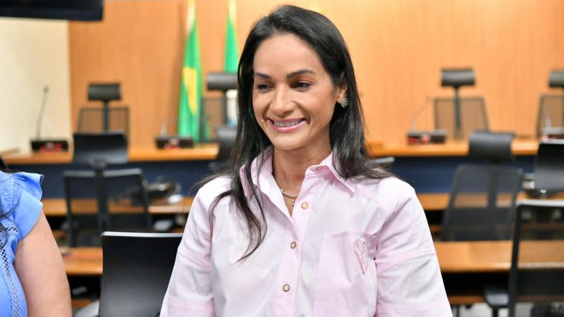 Madrinha do projeto, Keilla Trad participa do segundo reencontro do grupo “Líderes do Amanhã” com estudantes de Ribas na Assembleia Legislativa