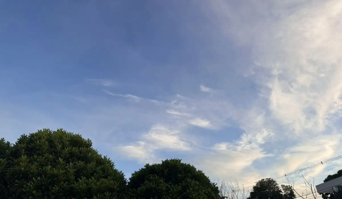 Tempo instável e calorão: confira a previsão para MS neste 1° de abril
