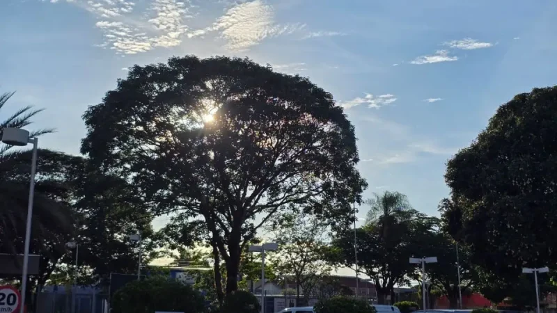 Previsão do Tempo em MS: Semana de calor abafado e alerta de chuva; veja a temperatura