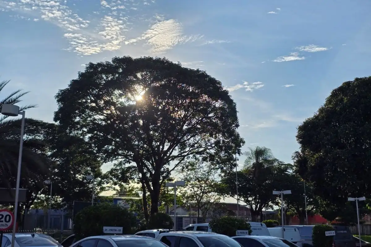 Previsão do Tempo em MS: Semana de calor abafado e alerta de chuva; veja a temperatura