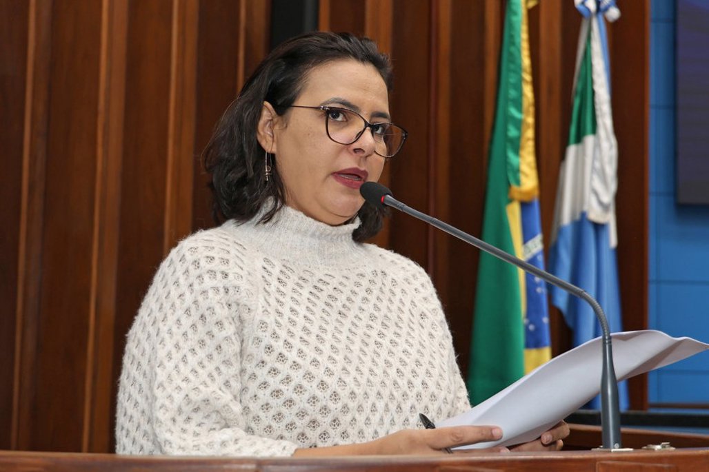“Não vamos aceitar que as mulheres continuem morrendo sem responsabilidade do Estado”, aponta deputada Gleice Jane em defesa do Protocolo Ampara