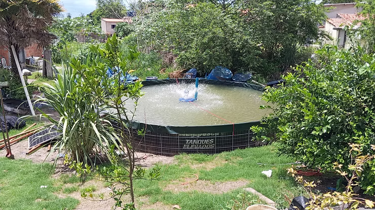 Primeiro tanque sustentável de iscas do Estado transforma rotina e renda de mulheres ribeirinhas em Corumbá