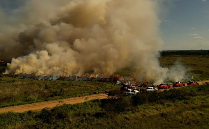Para conservar e proteger biomas, Governo de MS realiza técnica de queima prescrita em parque estadual