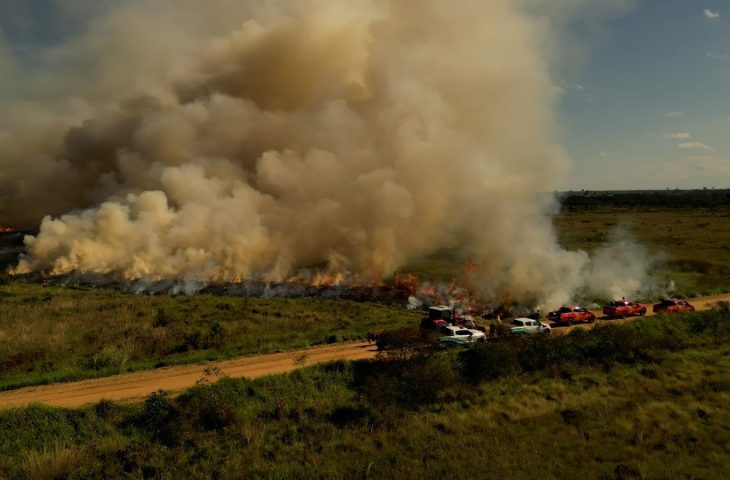 Para conservar e proteger biomas, Governo de MS realiza técnica de queima prescrita em parque estadual