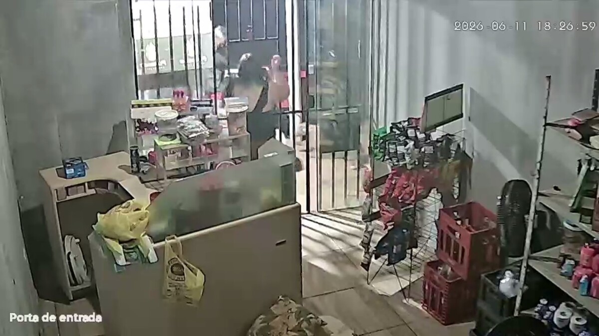 Menina de 3 anos é atacada por dois cães pit bulls