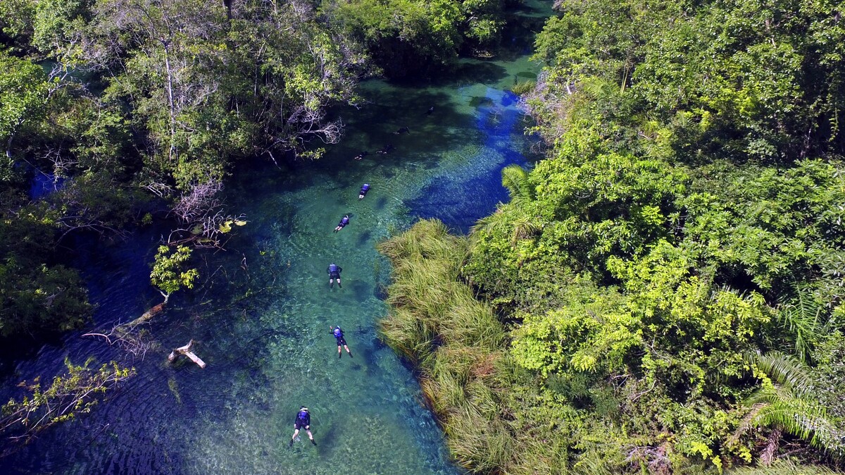Recanto Ecológico Rio da Prata comemora 31 anos de história