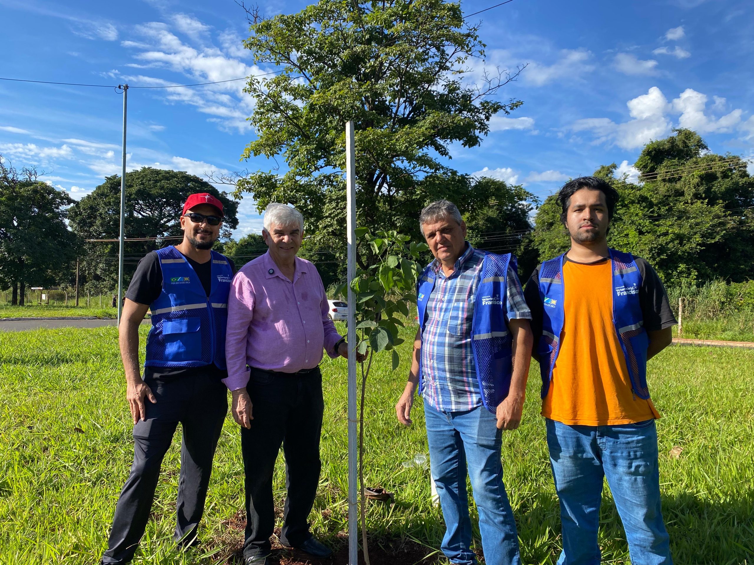 Projeto do Vereador Veterinário Francisco para preservação e plantio de ipês é aprovado em Campo Grande
