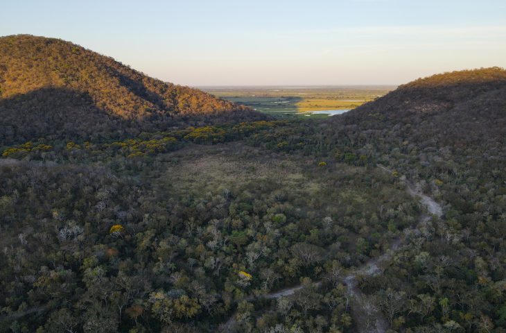 Para preservar o Pantanal, produtores rurais têm ações de conservação remuneradas por programa do Governo de MS