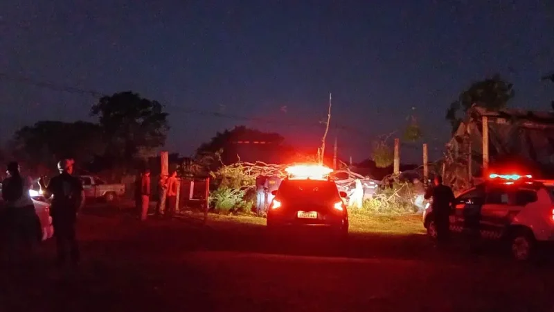 Trabalhador morre atingido por queda de eucalipto em Anhanduí