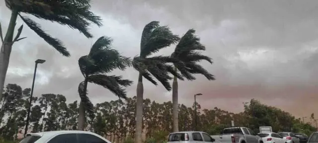 MS está sob alerta para ventos intensos; confira como evitar acidentes