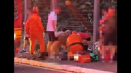 Mulher morre ao ser atingida por tronco de árvore durante passeio de patinete