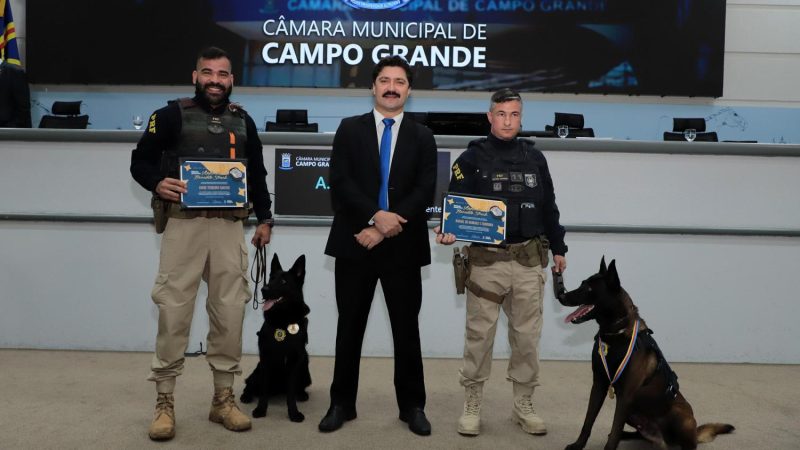 Flávio Cabo Almi destaca trabalho da PRF e homenageia policiais na Câmara Municipal