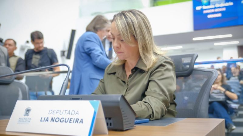 Lia Nogueira pede recuperação da MS-379 e mais segurança para motoristas